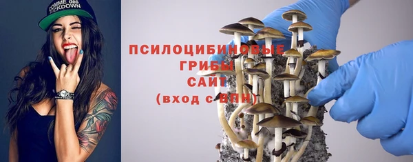 спиды Абаза
