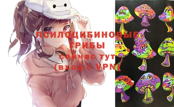 спиды Абаза