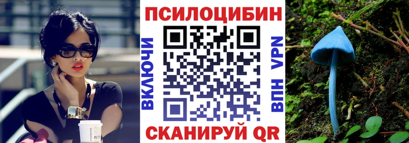 Псилоцибиновые грибы прущие грибы  ссылка на мегу как войти  Саратов  цены  